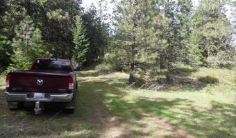 000 Hansen Ridge Rd, Anatone, WA 99401