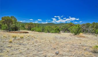 Rikki Rowdy Place, Aguilar, CO 81020