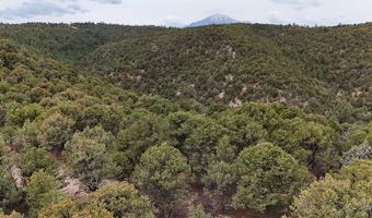 County Rd. 312.1 lot 127, Aguilar, CO 81020