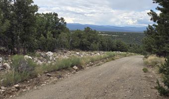 Lobo Ranch Road, Arroyo Hondo, NM 87513