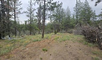 Partin Way 5, Beatty, OR 97621