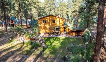 84 Little Bear Dr, Bayfield, CO 81122