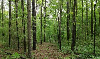 536 COUNTY ROAD 3902, Arley, AL 35541