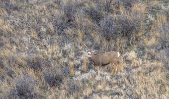 TBD Iron Mountain Rd, Chugwater, WY 82210