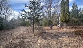 TBD Hwy 21, Babbitt, MN 55706