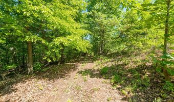 Lot 2 Tower Hill Rd, Appomattox, VA 24522