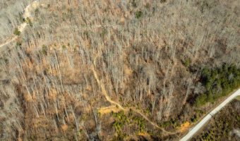 700 Acres Puncheon Creek Ln, Allred, TN 38542