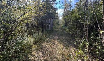 5280 Cathro Rd, Alpena, MI 49707