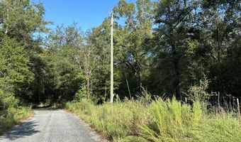 Parcel A Carroll Drive, Baker, FL 32531