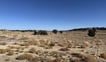 9 County Road 5700, Concho, AZ 85924