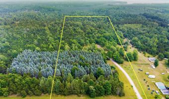 14143 Erdman Rd, Arcadia, MI 49613