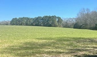 0 Tervin Mill Rd, Andalusia, AL 36421