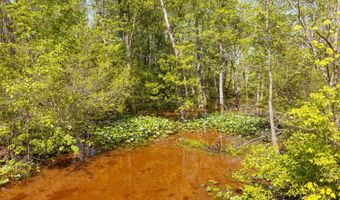 Beech Bluff Road, Beech Bluff, TN 38313