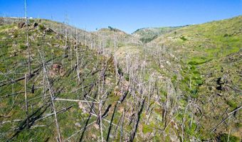 100 Canyon Gulch Rd, Bellvue, CO 80512