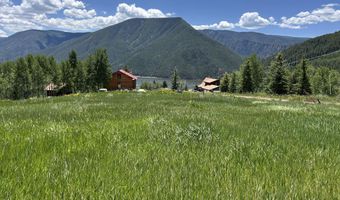 1239 McLaughlin Ln, Basalt, CO 81621