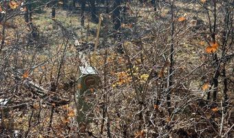 490 Hilltop Dr, Bayfield, CO 81122