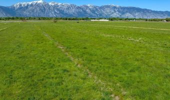 Pinenut Road, Gardnerville, NV 89410