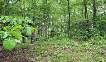 1547 Healy Flds, Andrews, NC 28901