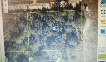 11850 NE 108 St, Archer, FL 32608