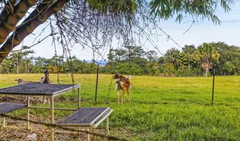 ILIOPUA RD, Honomu, HI 96728