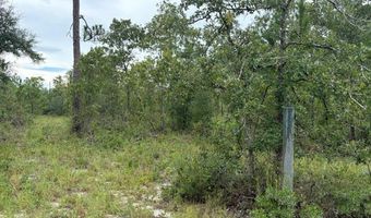 4539 NW Miller/White LN Rd, Altha, FL 32421