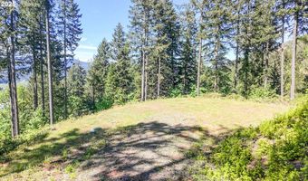 Alder Branch RD, Springfield, OR 97478