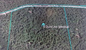 Duncan Bridge Rd, Waycross, GA 31501