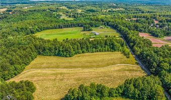 157 Buttercup Ln, Ararat, NC 27007