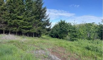 NW LODGE Rd, Banks, OR 97106