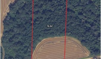 006 H Wallace Buie Rd, Ashford, AL 36376
