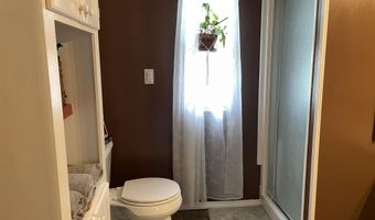 2166 Healing Springs Rd, Blackville, SC 29817