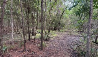 Lower Bay Road, Bay St. Louis, MS 39520