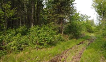 0000 CTH H, Antigo, WI 54409
