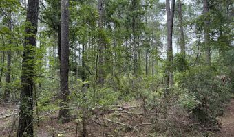 Nc 33 Off, Aurora, NC 27806