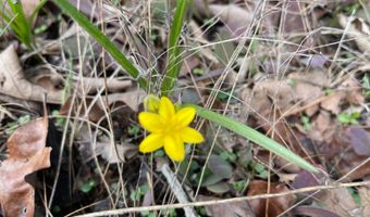 Antlers Road, Antlers, OK 74523
