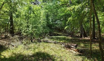 TBD 000 SW 86th Way, Bell, FL 32619