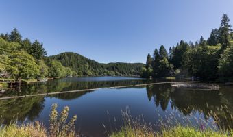 10265 RIDGE VIEW Ter, Birkenfeld, OR 97016