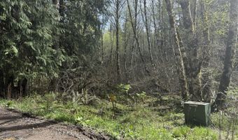 NW Hidden Mountain Dr, Banks, OR 97106