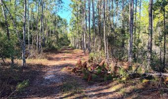 SMITH STREET, Astor, FL 32102