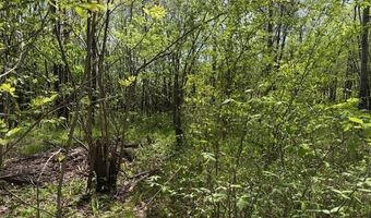105 106 TOWBOAT Ln Lot 105 106, Adamsville, TN 38310