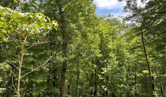 21 Collett Woods Trl Lot #21, Andrews, NC 28901