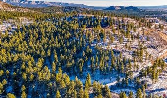 TBD Lot 11 Beaver Creek Ranch Drive, Bayfield, CO 81122