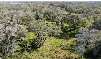 FM 521 TX, Angleton, TX 77515