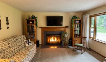 6955 Cedar Rd, Alanson, MI 49706