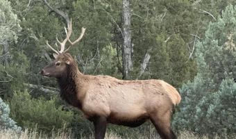 230 Sierra Blanca Airport Rd Lot 4A, Alto, NM 88312
