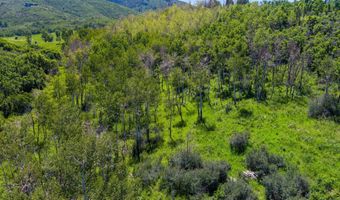 Trentaz Drive, Aspen, CO 81611