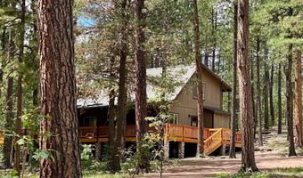 8 County Road 2083, Alpine, AZ 85920