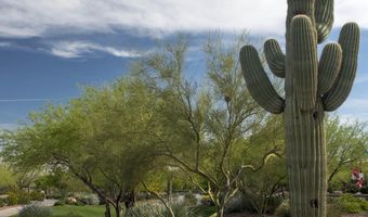 40741 N Citrus Canyon Trl, Anthem, AZ 85086