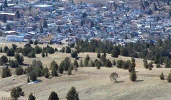 GOV LOTS 1-5, Anaconda, MT 59711