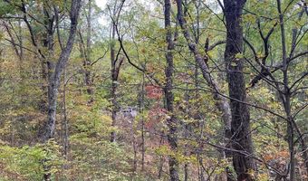 Bandy Rd / Whitaker Ridge Area, Bandy, VA 24602